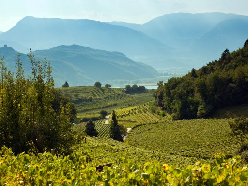 Abbildung: „Urlaub an der Südtiroler Weinstraße“