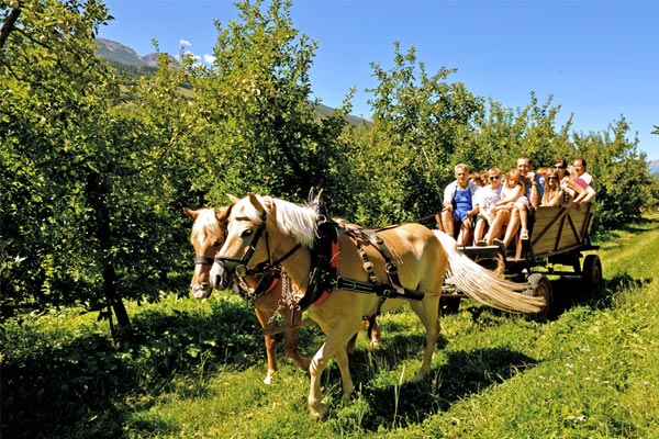 Abbildung: „Erlebnisurlaub in Südtirol“